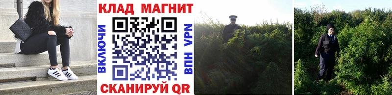Хочу наркоту Чайковский APVP COCAIN ЭКСТАЗИ Конопля Меф мяу мяу