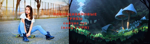 спайс Алзамай