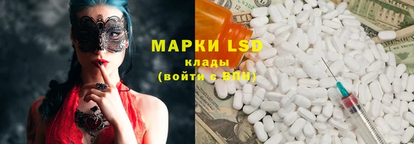 спайс Алзамай