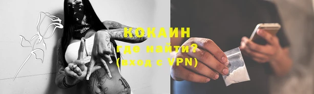спайс Алзамай