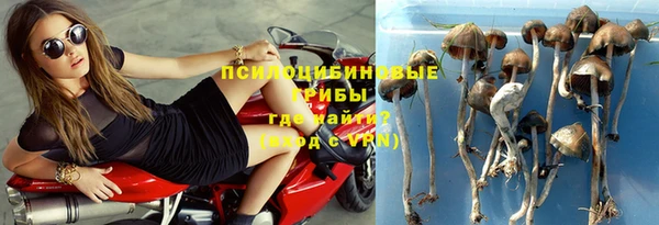 спайс Алзамай