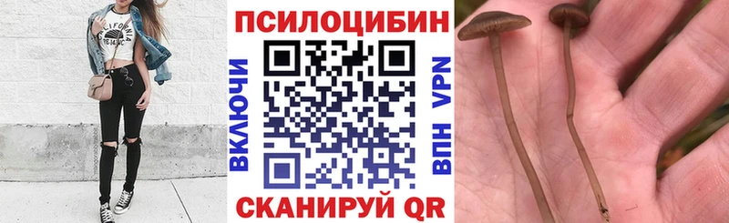 Галлюциногенные грибы Magic Shrooms  купить наркотик  Чайковский 