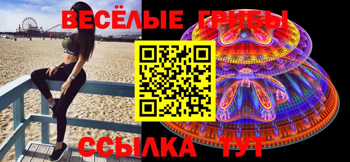 Чайковский  Галлюциногенные грибы Psilocybine cubensis  Вход с VPN 
